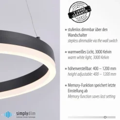 Hängelampen|Bürolampen*Paul Neuhaus LED Pendelleuchte Anthrazit warmweiß 3000 K Ø40 cm Ring