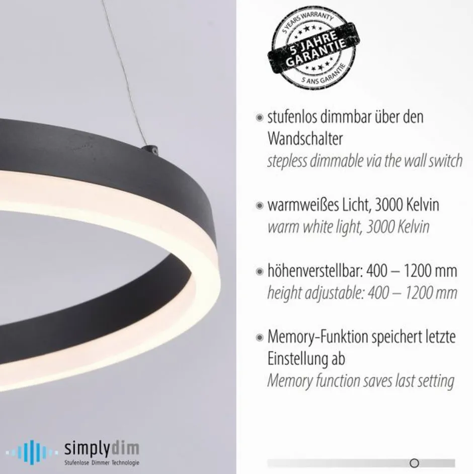 Hängelampen|Bürolampen*Paul Neuhaus LED Pendelleuchte Anthrazit warmweiß 3000 K Ø40 cm Ring