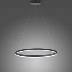 Paul Neuhaus LED Pendelleuchte Anthrazit dimmbar 3000 K Ø80 cm Ring< Hängelampen|Bürolampen
