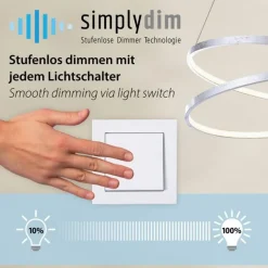 Paul Neuhaus LED Pendelleuchte Anthrazit dimmbar 3000 K Ø80 cm Ring< Hängelampen|Bürolampen