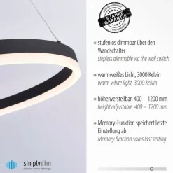 Paul Neuhaus LED Pendelleuchte Anthrazit dimmbar 3000 K Ø80 cm Ring< Hängelampen|Bürolampen