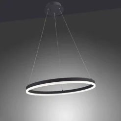 Paul Neuhaus LED Pendelleuchte Anthrazit dimmbar 3000 K Ø60 cm Ring< Hängelampen|Bürolampen