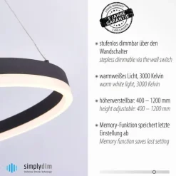 Paul Neuhaus LED Pendelleuchte Anthrazit dimmbar 3000 K Ø60 cm Ring< Hängelampen|Bürolampen