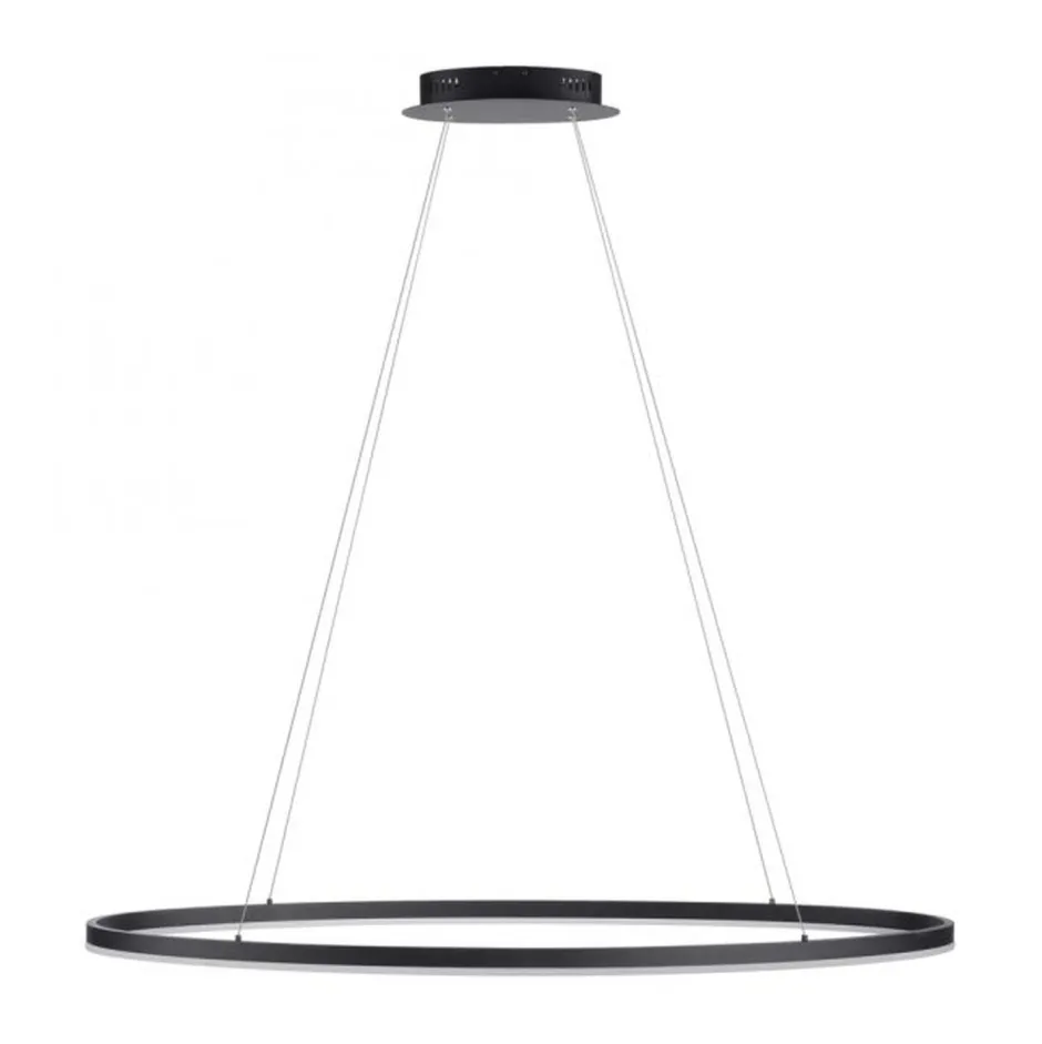 Hängelampen|Bürolampen*Paul Neuhaus LED Pendelleuchte Anthrazit oval 3000 K 118 cm dimmbar