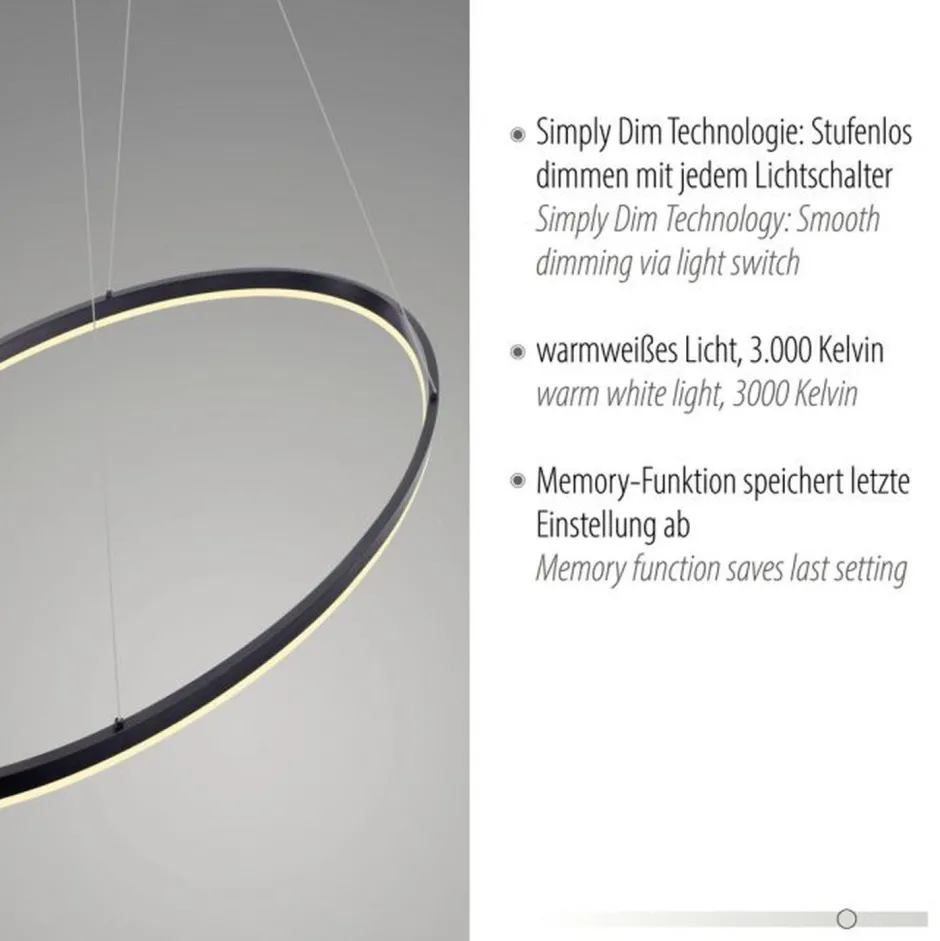 Hängelampen|Bürolampen*Paul Neuhaus LED Pendelleuchte Anthrazit oval 3000 K 118 cm dimmbar