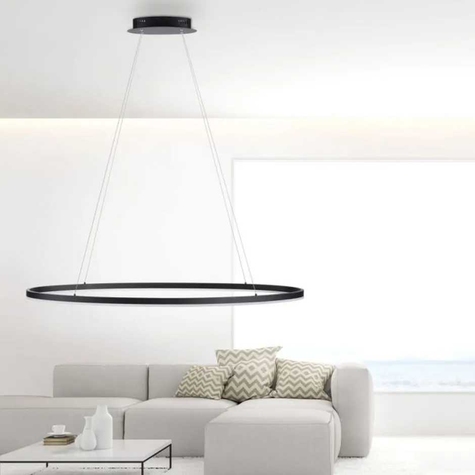 Hängelampen|Bürolampen*Paul Neuhaus LED Pendelleuchte Anthrazit oval 3000 K 118 cm dimmbar
