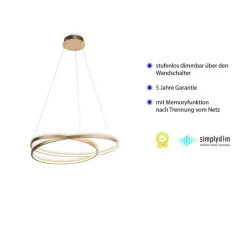 Hängelampen|Bürolampen*Paul Neuhaus LED Pendelleuchte in Blattgold L:72 cm 3000 K dimmbar