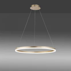 Paul Neuhaus LED Pendelleuchte in Messing dimmbar 3000 K Ø80 cm Ring< Hängelampen|Bürolampen