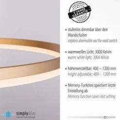 Paul Neuhaus LED Pendelleuchte in Messing dimmbar 3000 K Ø80 cm Ring< Hängelampen|Bürolampen