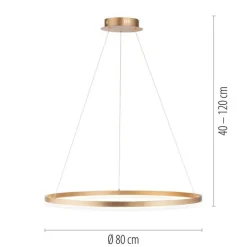 Paul Neuhaus LED Pendelleuchte in Messing dimmbar 3000 K Ø80 cm Ring< Hängelampen|Bürolampen