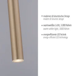 Paul Neuhaus LED Pendelleuchte in Messing Metall Ø2,5 cm 4 W dimmbar< Hängelampen|Bürolampen