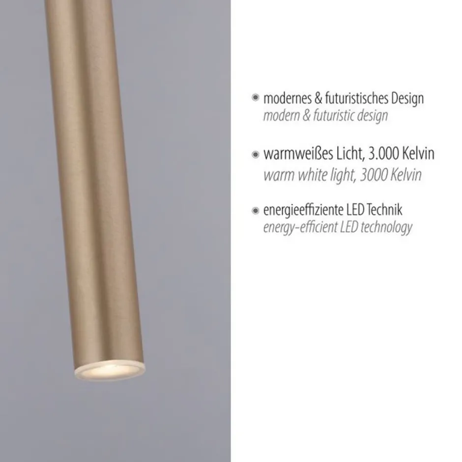 Paul Neuhaus LED Pendelleuchte in Messing Metall Ø2,5 cm 4 W dimmbar< Hängelampen|Bürolampen