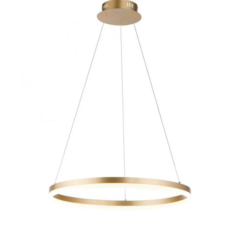 Hängelampen|Bürolampen*Paul Neuhaus LED Pendelleuchte in Messing dimmbar 3000 K Ø60 cm Ring