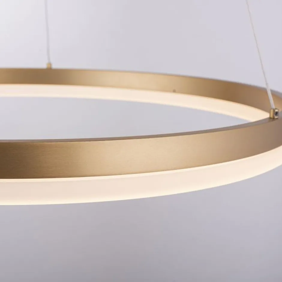 Hängelampen|Bürolampen*Paul Neuhaus LED Pendelleuchte in Messing dimmbar 3000 K Ø60 cm Ring