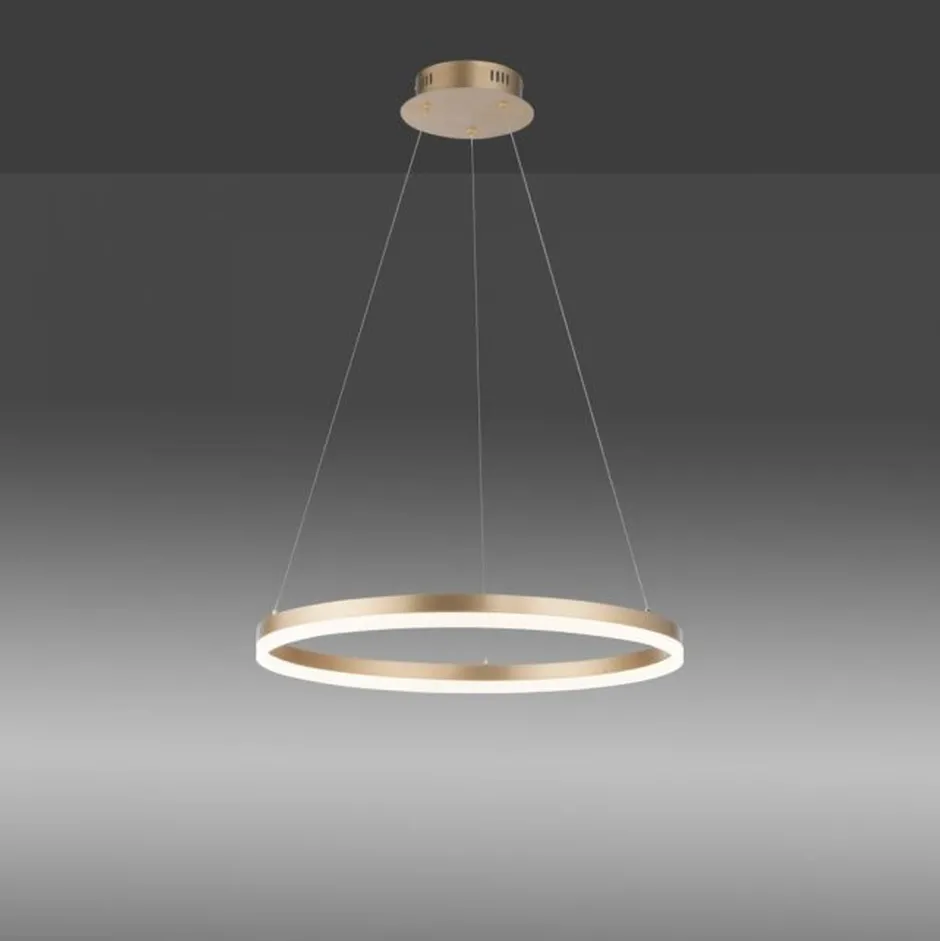Hängelampen|Bürolampen*Paul Neuhaus LED Pendelleuchte in Messing dimmbar 3000 K Ø60 cm Ring
