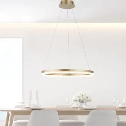 Hängelampen|Bürolampen*Paul Neuhaus LED Pendelleuchte in Messing dimmbar 3000 K Ø60 cm Ring