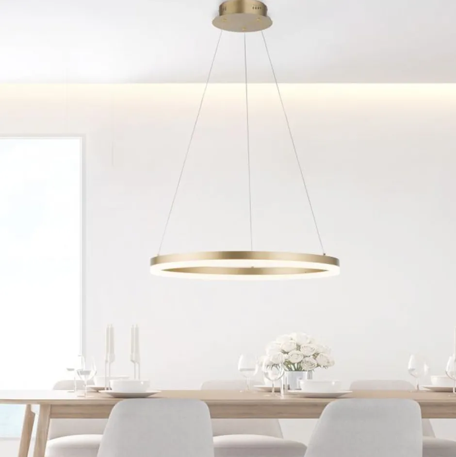 Hängelampen|Bürolampen*Paul Neuhaus LED Pendelleuchte in Messing dimmbar 3000 K Ø60 cm Ring