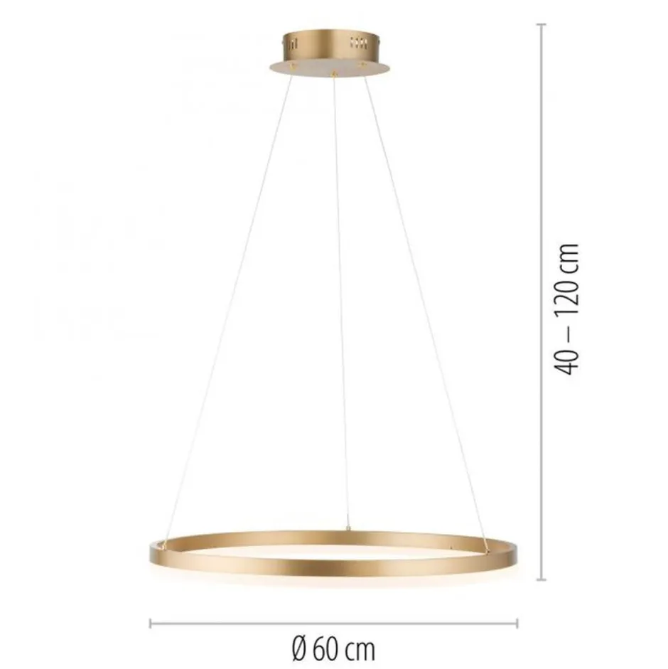 Hängelampen|Bürolampen*Paul Neuhaus LED Pendelleuchte in Messing dimmbar 3000 K Ø60 cm Ring