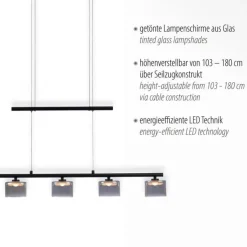 Paul Neuhaus LED Pendelleuchte Rauchglas blendarm 80 cm lang 20 W< Hängelampen|Bürolampen
