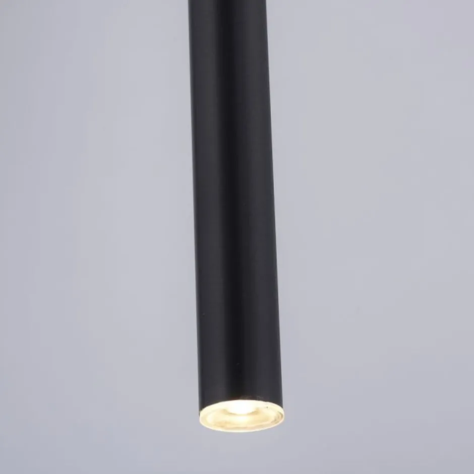 Hängelampen|Bürolampen*Paul Neuhaus LED Pendelleuchte Schwarz Metall Ø2,5 cm rund dimmbar