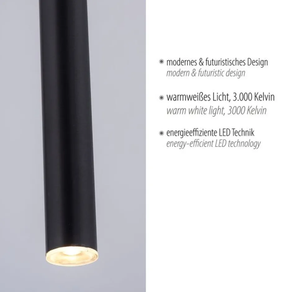 Hängelampen|Bürolampen*Paul Neuhaus LED Pendelleuchte Schwarz Metall Ø2,5 cm rund dimmbar