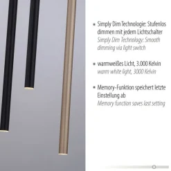 Paul Neuhaus LED Pendelleuchte Schwarz Messing Metall dimmbar< Hängelampen|Bürolampen