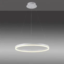 Hängelampen|Bürolampen*Paul Neuhaus LED Pendelleuchte Weiß dimmbar 38 W 3000 K Ø60 cm Ring