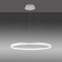 Paul Neuhaus LED Pendelleuchte Weiß dimmbar 52 W 3000 K Ø80 cm Ring< Hängelampen|Bürolampen