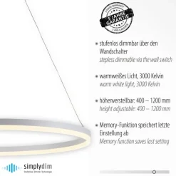 Paul Neuhaus LED Pendelleuchte Weiß dimmbar 52 W 3000 K Ø80 cm Ring< Hängelampen|Bürolampen