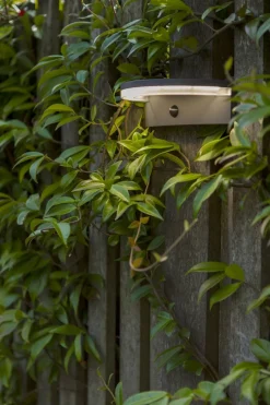 Eco-Light LED Solar Wandlampe Bewegungsmelder IP44 B:19 cm 4000 K< Solarleuchten|Led Außenleuchten