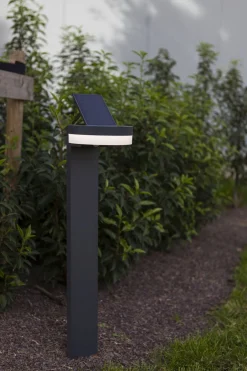 Eco-Light LED Solar Wegeleuchte Sensor Anthrazit IP54 12 W 74 cm< Metall Lampen|Solarleuchten