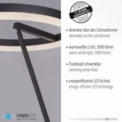 Paul Neuhaus LED Stehlampe Anthrazit dimmbar warmweiß 20 W 215 cm< Wohnzimmerlampen|Metall Lampen