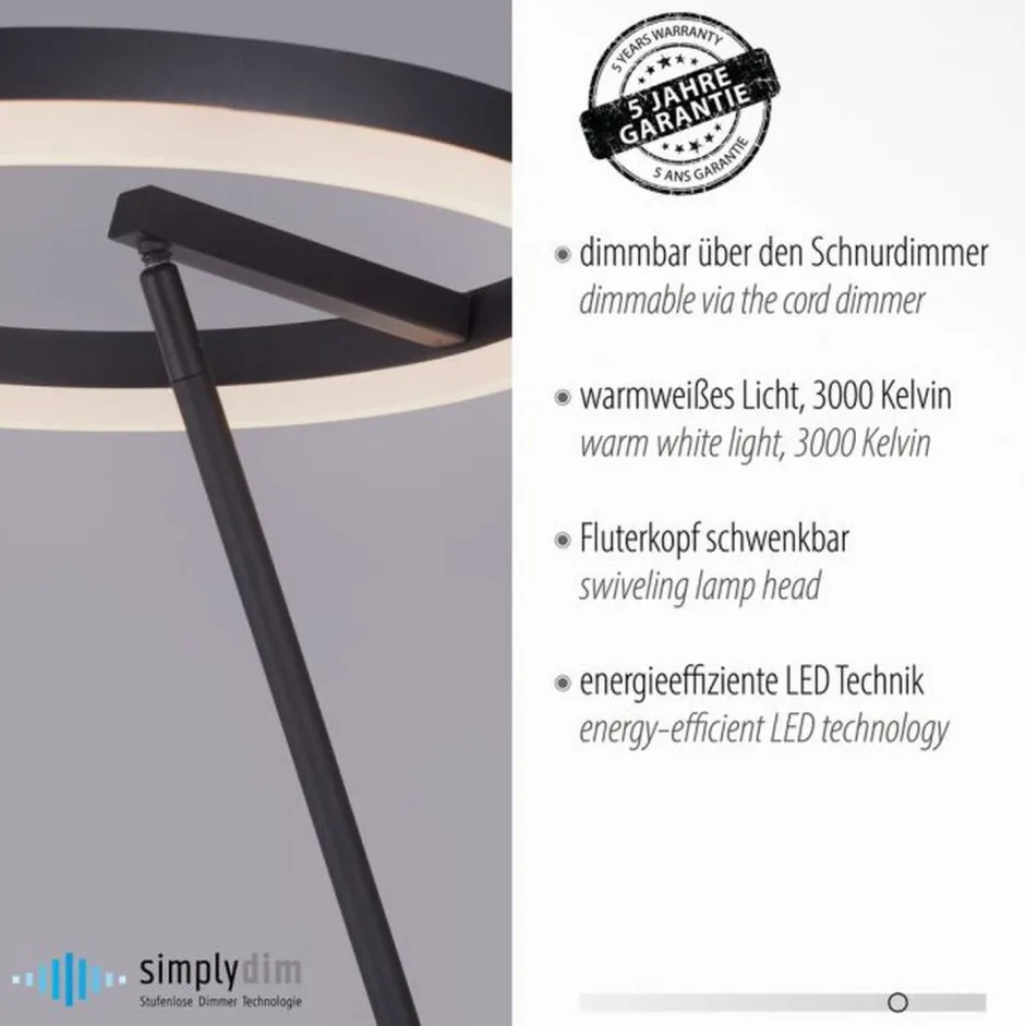 Paul Neuhaus LED Stehlampe Anthrazit dimmbar warmweiß 20 W 215 cm< Wohnzimmerlampen|Metall Lampen