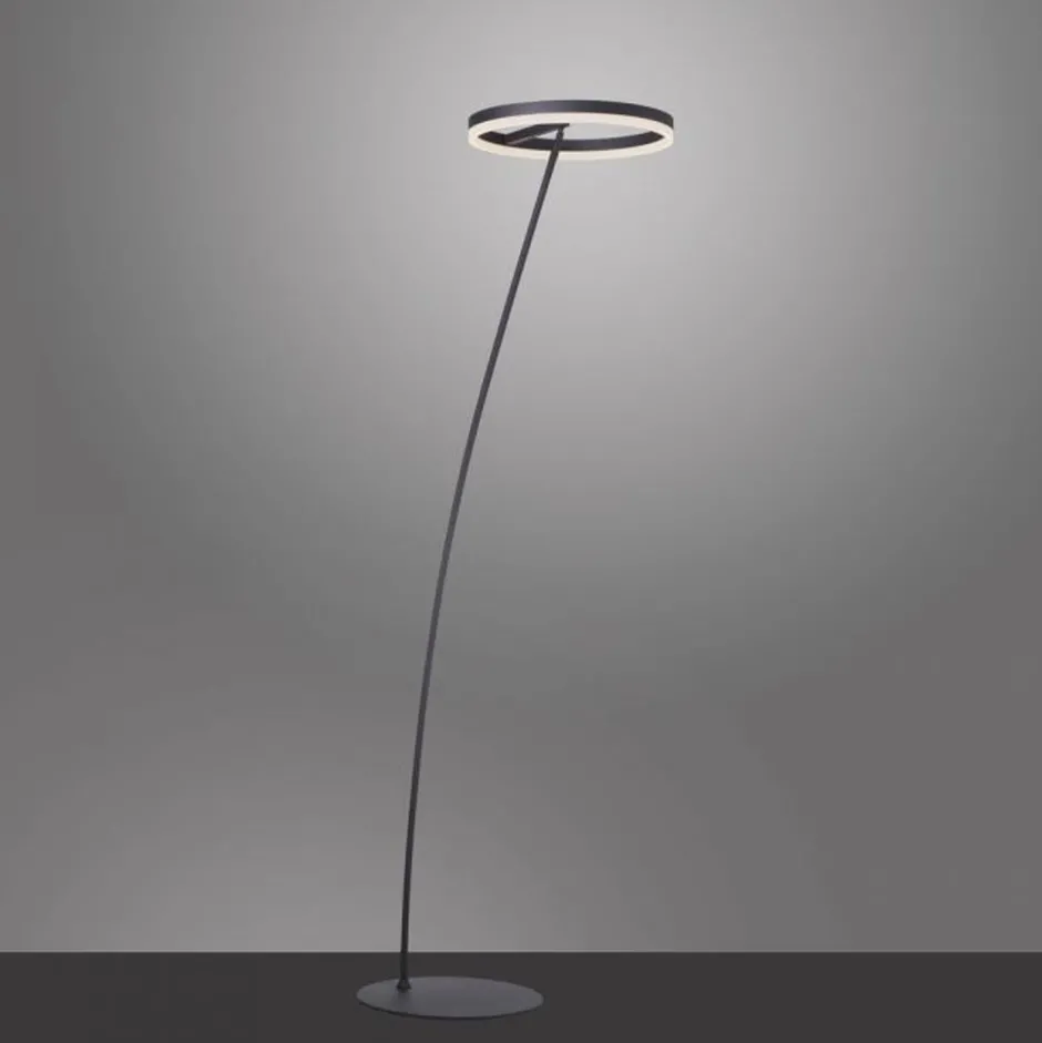 Paul Neuhaus LED Stehlampe Anthrazit dimmbar warmweiß 20 W 215 cm< Wohnzimmerlampen|Metall Lampen