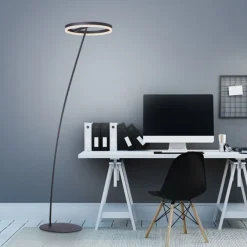 Paul Neuhaus LED Stehlampe Anthrazit dimmbar warmweiß 20 W 215 cm< Wohnzimmerlampen|Metall Lampen