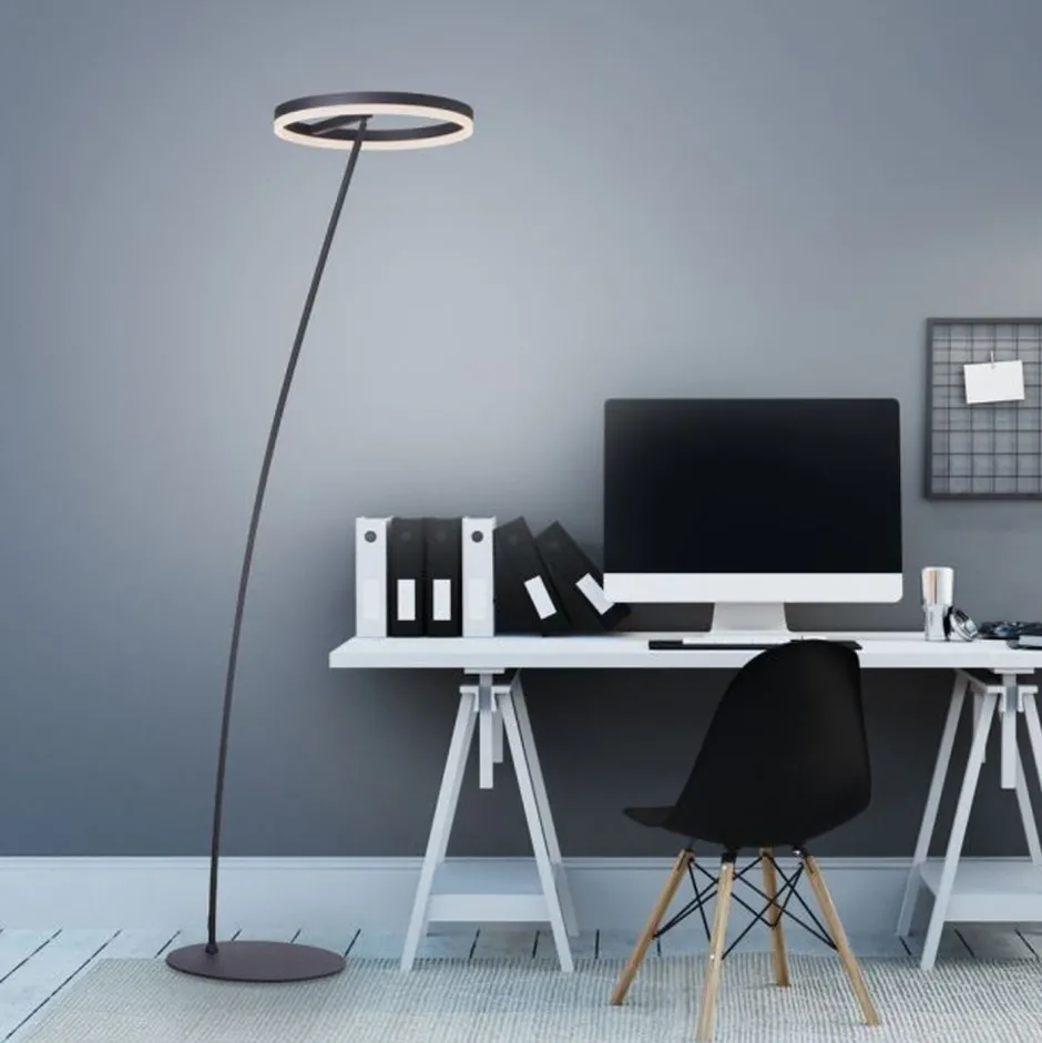 Paul Neuhaus LED Stehlampe Anthrazit dimmbar warmweiß 20 W 215 cm< Wohnzimmerlampen|Metall Lampen