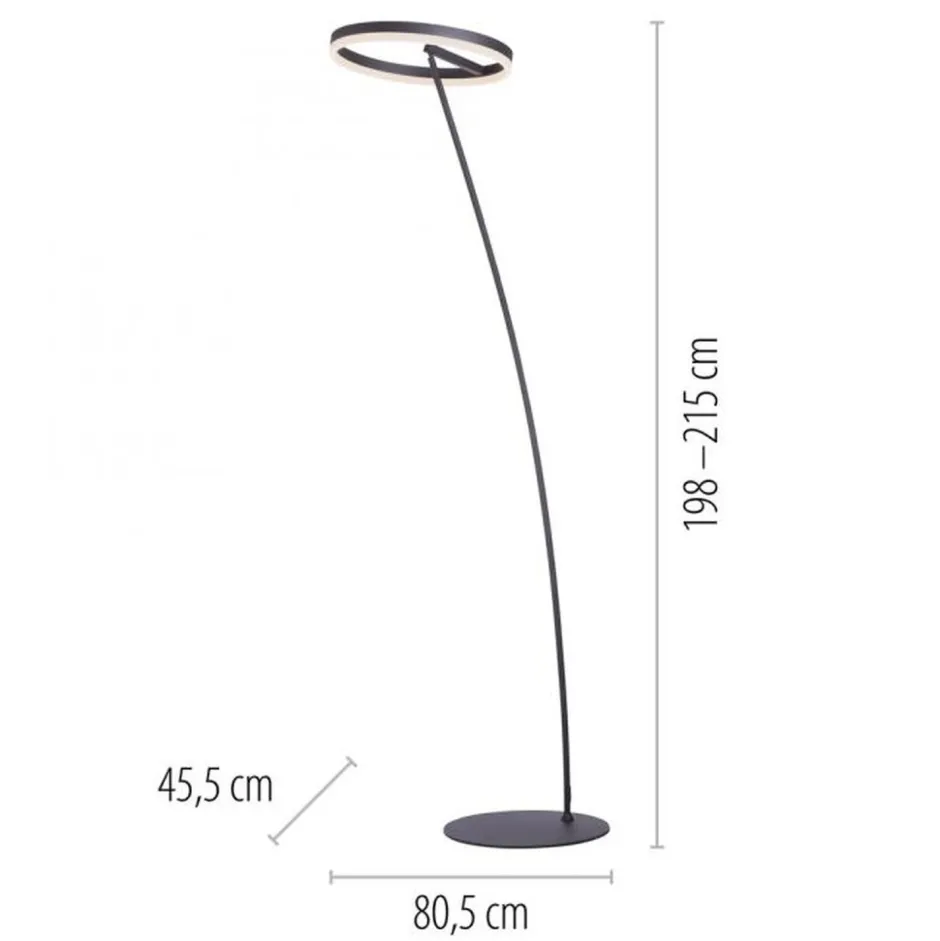 Paul Neuhaus LED Stehlampe Anthrazit dimmbar warmweiß 20 W 215 cm< Wohnzimmerlampen|Metall Lampen