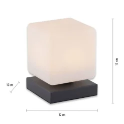 Paul Neuhaus LED Tischleuchte Anthrazit Glas 16 cm 580 lm dimmbar< Wohnzimmerlampen|Schlafzimmer Lampen