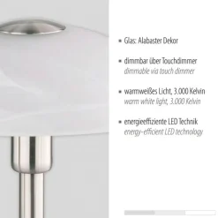 Paul Neuhaus LED Tischleuchte dimmbar in Silber Alabasterglas 28 cm< Wohnzimmerlampen|Schlafzimmer Lampen