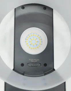 Eco-Light LED Wandlampe Aluminium Anthrazit B:16 cm IP44 1000 lm< Metall Lampen|Led Außenleuchten