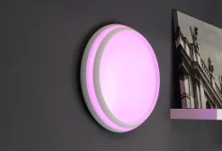 Wohnzimmerlampen|Metall Lampen*Eco-Light LED Wandlampe Aluminium Weiß RGB Bluetooth Ø35 cm
