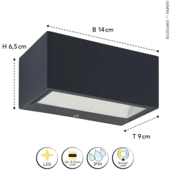 Metall Lampen|Led Außenleuchten*Eco-Light LED Wandlampe Außen Anthrazit 4000 K 10 W IP54 Up Down