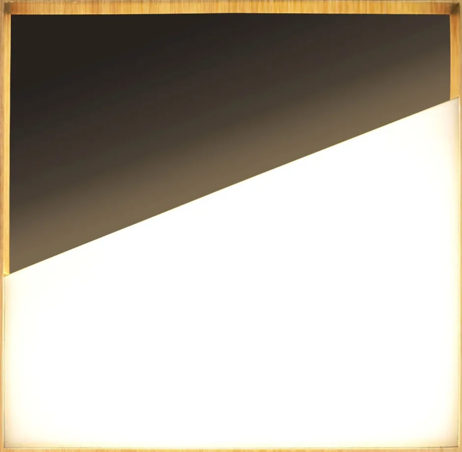 Led Lampen|Wandleuchten*Eco-Light LED Wandlampe Schwarz Natur B:40 cm 3000 K blendarm