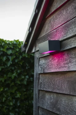 Eco-Light LED Wandlampe Up Down dimmbar RGB B:22 cm IP54 900 lm< Metall Lampen|Led Außenleuchten