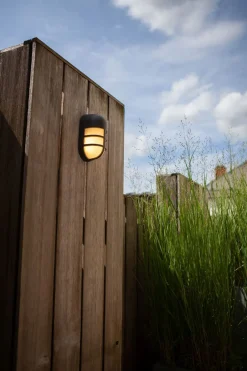 Metall Lampen|Feuchtraumleuchten*Eco-Light LED Wandleuchte Anthrazit Aluminium H:19,3 cm IP54 14 W