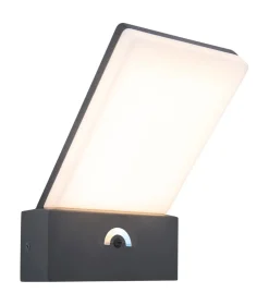 Metall Lampen|Led Außenleuchten*Eco-Light LED Wandleuchte Bewegungssensor IP54 T:14 cm Anthrazit