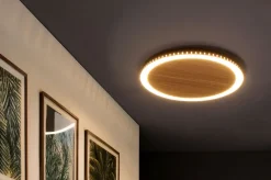 Wohnzimmerlampen|Metall Lampen*Eco-Light LED Wandleuchte Holz Schwarz rund Ø40 cm 3500 K dimmbar