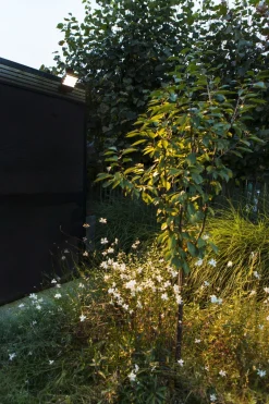 Eco-Light LED Wandleuchte Outdoor Aluminium 3000 K IP54 beweglich< Metall Lampen|Led Außenleuchten