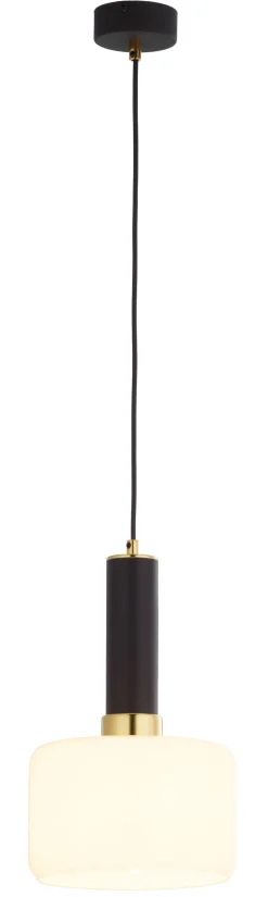 Moderne Lampen|Glaslampen*Jupiter Metall Pendelleuchte Schwarz rund Ø20cm E27 Modern