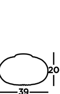 Searchlight Pendelleuchte Schwarz Ø 39 cm Metall Schirm E27 ERIC< Feuchtraumleuchten|Küchenlampen